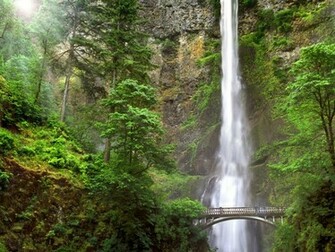 Hq Multnomah Falls Oregon Wallpaper