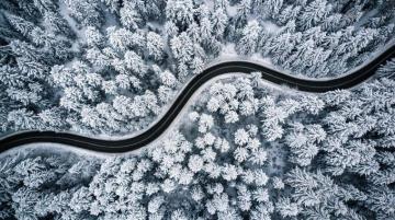 Winter Forest Wallpaper Trees Snow Road Through The