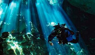 4k Papers Scuba Diving Wallpaper