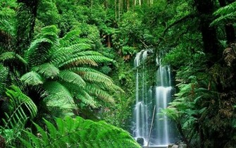 HD Nature Wallpaper For Mac