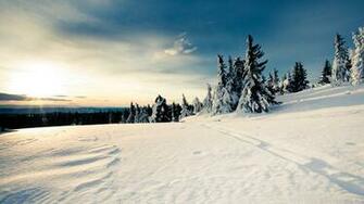 Wonderful And Cool Nature Wallpaper The Design Work