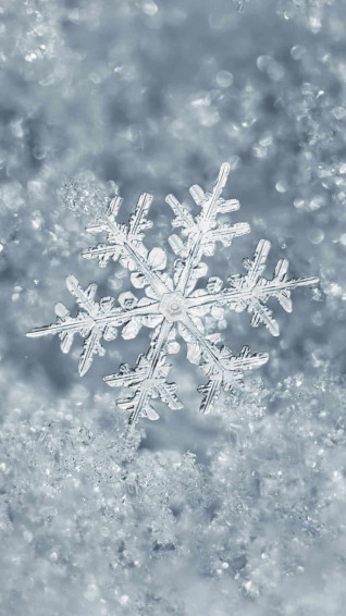 Snowy Wallpaper iPhone