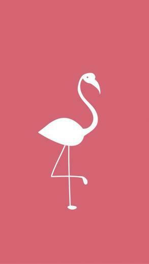 Top Lbis Bird iPhone Wallpaper Best