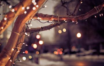 Wallpaper Winter The City Lights Tree Mood Christmas
