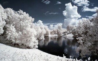 Winter Wonderland Achtergrond Met Witte Bomen Om Een Meer