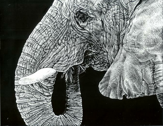 Elephant Skin By Generallyspeaking