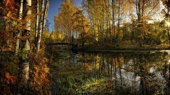 Bridge Nature Beauty Wallpaper Desktop