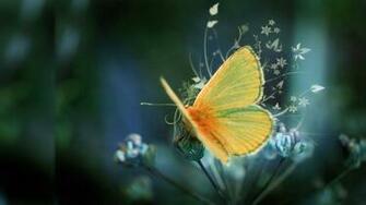 Artistic Desktop Background Image