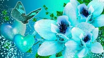 Butterfly HD Wallpaper