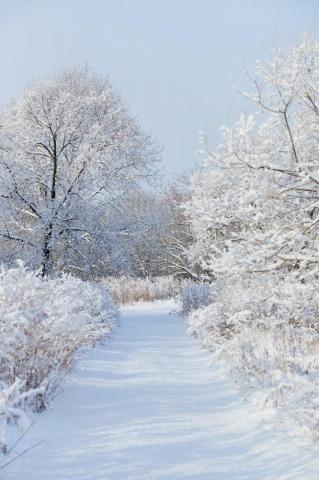 Winter Aesthetic Pictures Image