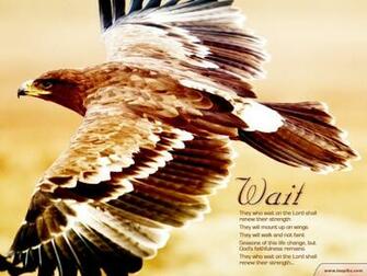 Scripture Wallpaper A From The Nest