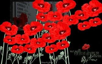 Remembrance Day Wallpaper