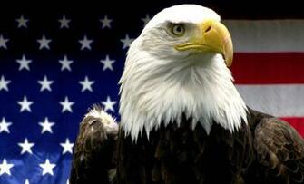 American Eagle Quality HD Image Gsfdcy
