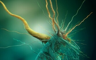 Bacteria Wallpaper