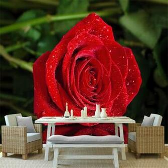 Custom Wall Murals Desktop Wallpaper Rose Flower