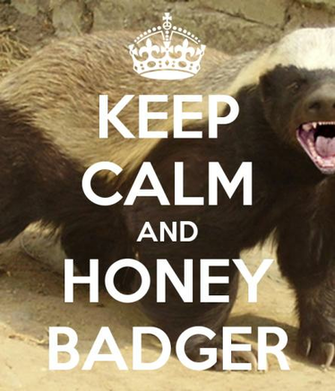 Honey Badger Wallpaper Widescreen