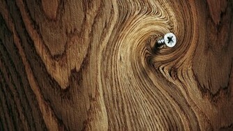 Wood Wallpaper Background Wallpaperlepi