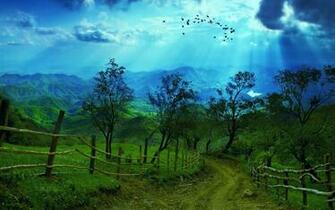 Road Surrounded By Beautiful Nature Desktop Wallpaper