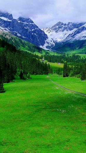 Swiss Alps Mobile Wallpaper