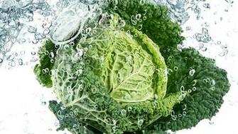 Wallpaper Vegetable Cabbage Green Leaves