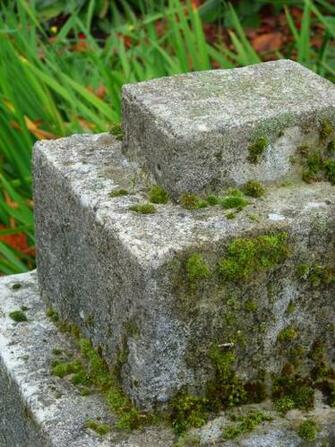 Harbour Green Park By Theartofdenisdlugas