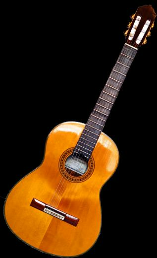 Guitar Wikipedia