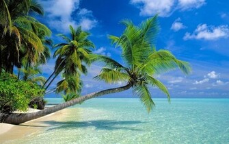 April Xotyco34