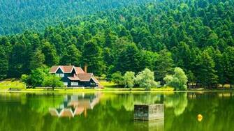 Turkey Bolu Lake Golcuk Reflection Trees