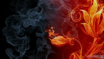 Fire Flower Wallpaper Dazzling