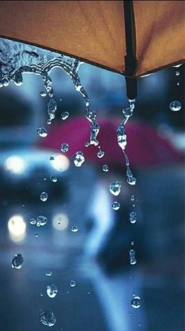 Rain Umbrella 4k Mobile Wallpaper HD Fotografia De Chuva