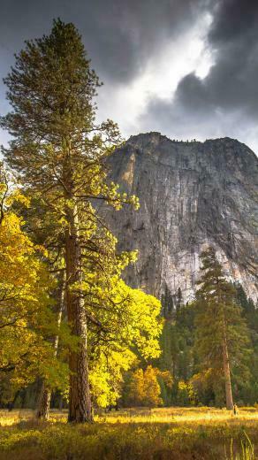 Lg G3 Background HD Windows Wallpaper