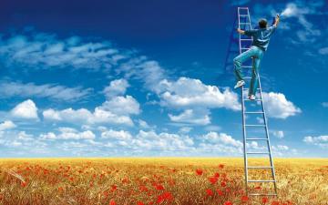Funny Nature Wallpaper