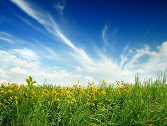 Wallpaper For Desktop Background Nature Background