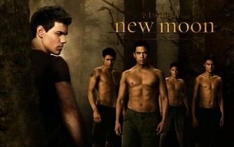 Taylor Lautner New Moon