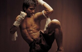 Judan Artes Marciais Apresenta O Do Ator Tony Jaa E Seu Muay