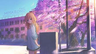 Kaori Miyazono Wallpaper