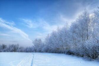 Snowy Field HD Walls Find Wallpaper