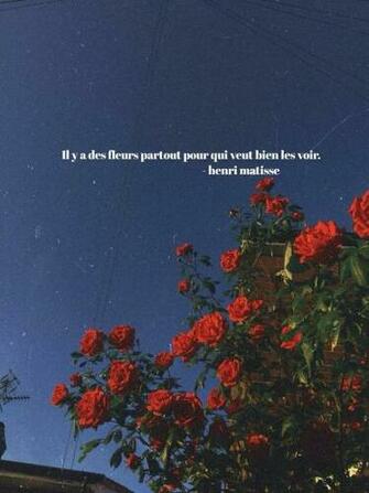 There Are Flowers Everywhere For Those Who Really Want To See