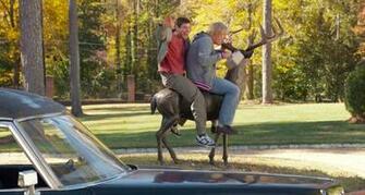 Dumb And Dumber To Movie HD Wallpaper Hollywood Film