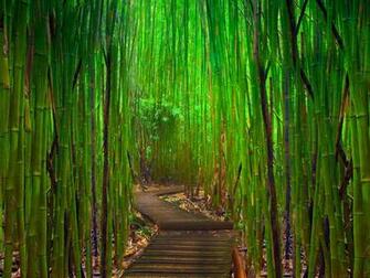 Nature Wallpaper Pack Csarchive Net