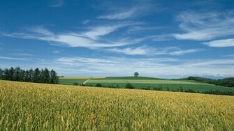 HD Widescreen Wallpaper Right Click The Select Set As