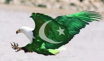 Pakistan Independence Day August Wallpaper With Flag Pics