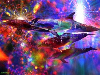 Bad Acid Trip Wallpaper Background Image