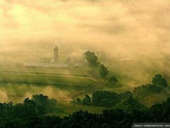 Wallpaper Morning Fog Spring Landscape