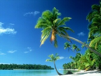 Tropical Beach Wallpaper Movies
