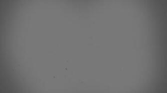 Gray Textured Wallpaper By Davidjrc