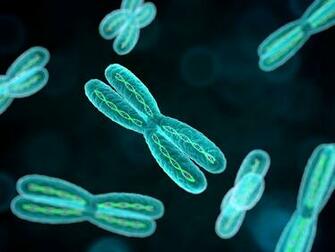 Chromosome Dna Pattern Genetic D Psychedelic Wallpaper