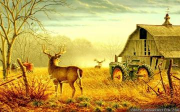 Desktop Wallpaper Farm Scenes Scene
