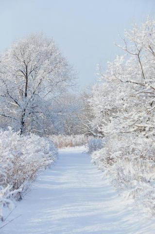 Winter Aesthetic Pictures Image