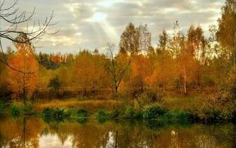 Fall Trees Wallpaper